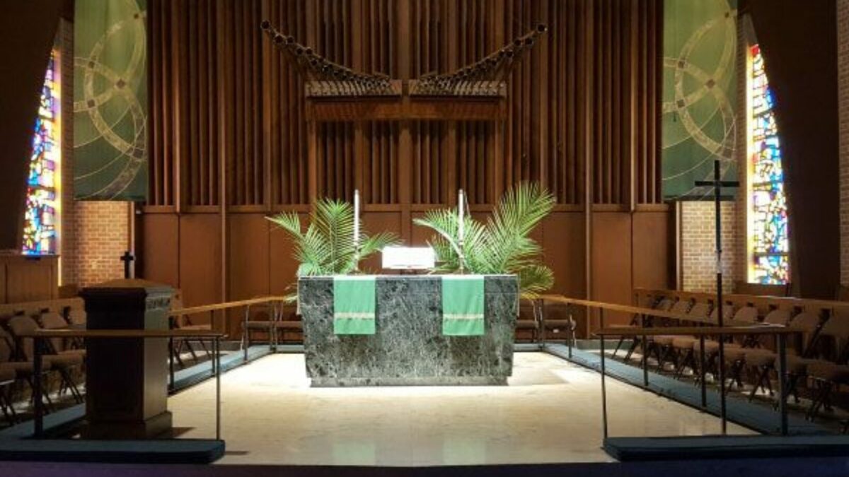 led lights for livestreaming