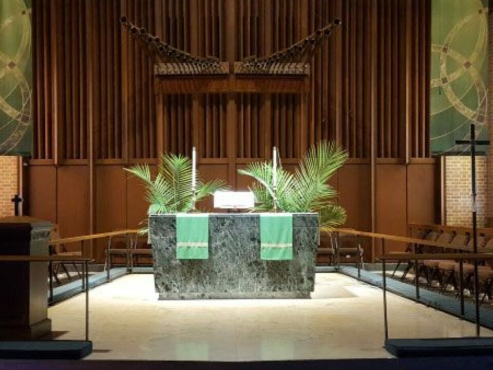 led lights for livestreaming